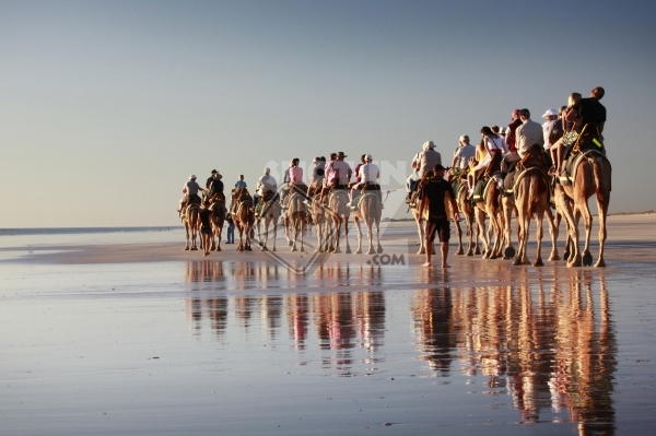 Camel Beach Ride, Broome