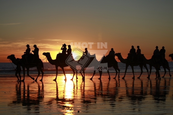 Camel Riders at Sunset, Cable Beach