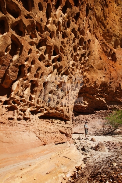 Honeycombe Gorge - Portrait