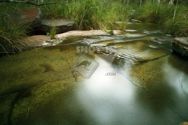 Water Pool in Karrajini National Park